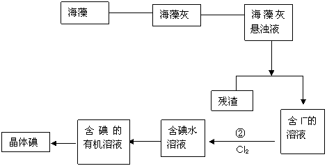 海洋植物如海带 海藻中含有丰富的碘元素 碘元素以离子的形式存在 实