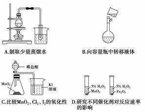 人口容量实验_人口容量的思维导图(2)