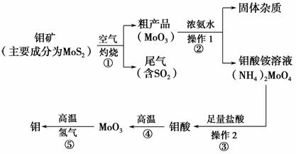 高中化学2014届高考化学热点回头专练4 无机