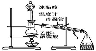 实验室合成乙酸乙酯的步骤如下:在圆底烧瓶内加入乙醇,浓硫酸和乙酸