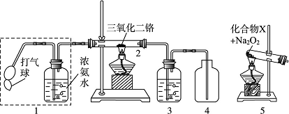 某兴趣小组用如图装置探究氨的催化氧化