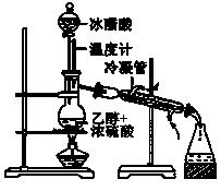 得祷亓骼淠加热回流烧杯蒸馏图片乙酸乙酯实验结束后,将反应混合物