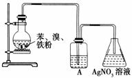 为了证明液溴与苯发生的反应是取代反应,有如图所示装置.