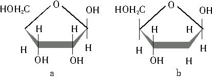 下图是两种重要糖的半缩醛结构,下列说法不正确的是().